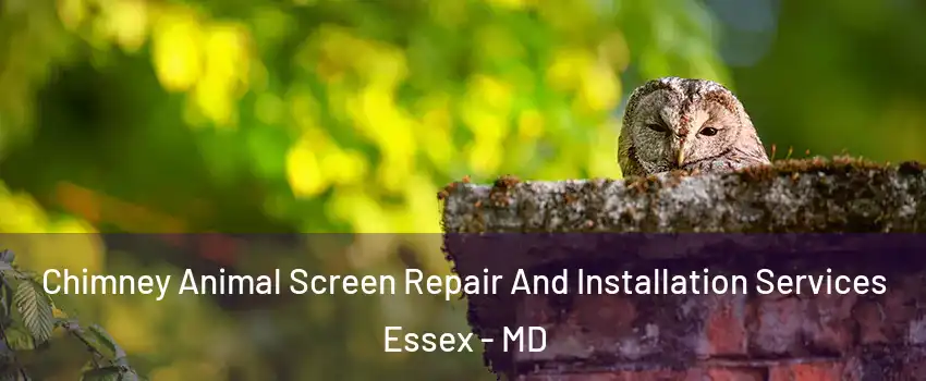  Chimney Animal Screen Repair And Installation Services Essex - MD