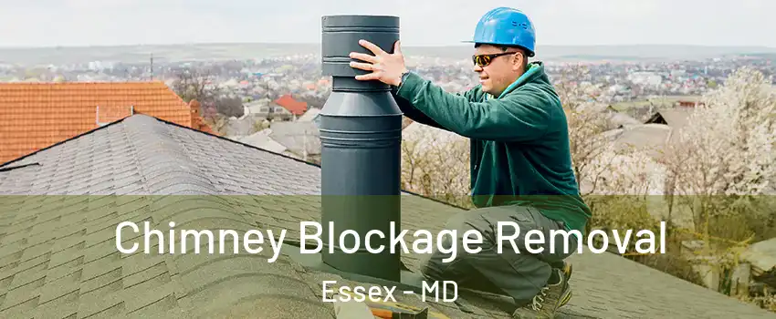  Chimney Blockage Removal Essex - MD