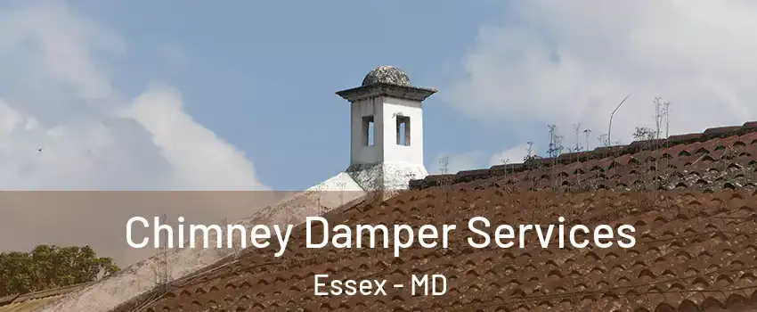 Chimney Damper Services Essex - MD
