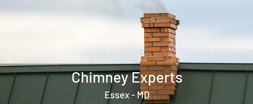 Chimney Experts Essex - MD