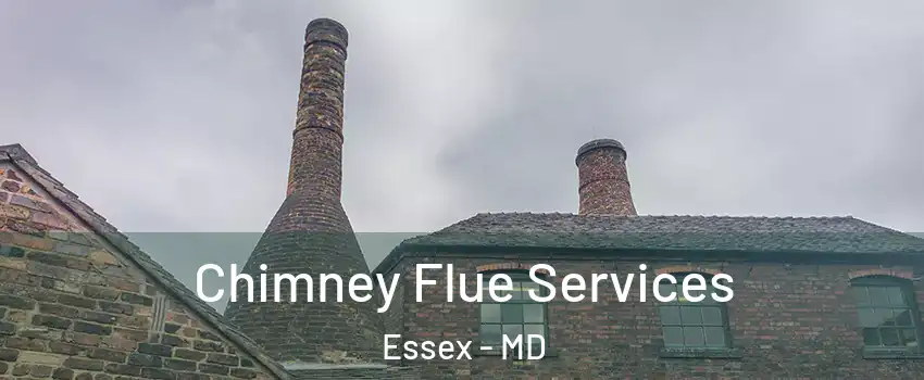  Chimney Flue Services Essex - MD