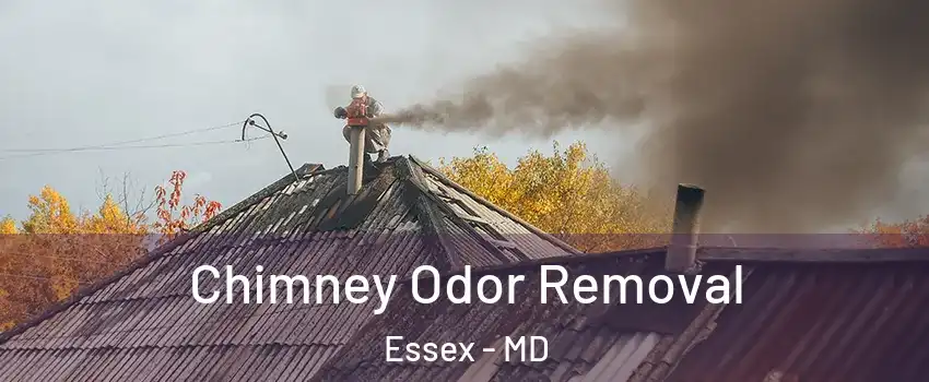  Chimney Odor Removal Essex - MD