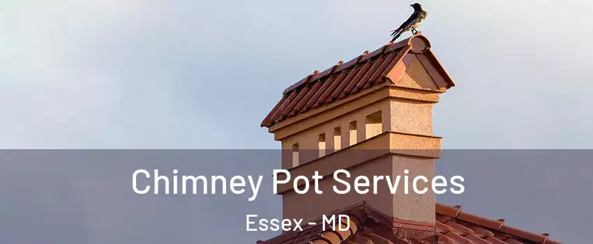  Chimney Pot Services Essex - MD