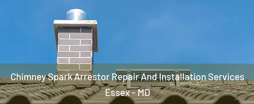  Chimney Spark Arrestor Repair And Installation Services Essex - MD