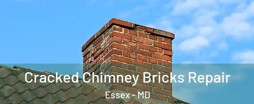  Cracked Chimney Bricks Repair Essex - MD