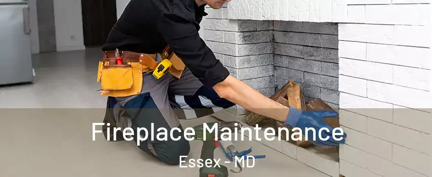  Fireplace Maintenance Essex - MD