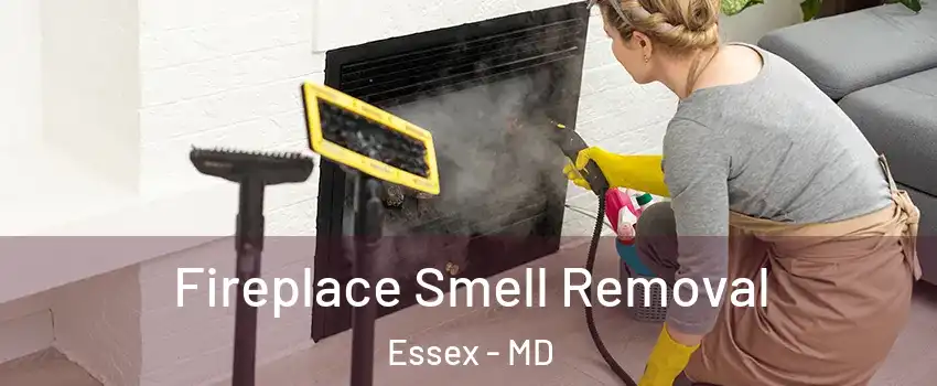  Fireplace Smell Removal Essex - MD