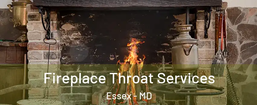  Fireplace Throat Services Essex - MD
