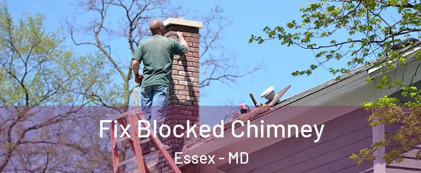  Fix Blocked Chimney Essex - MD