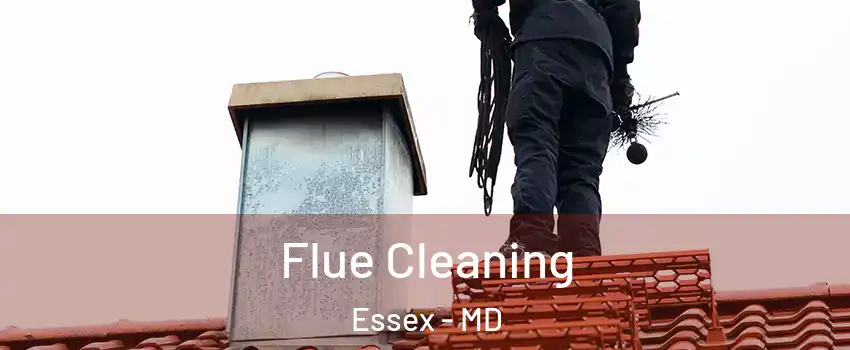  Flue Cleaning Essex - MD
