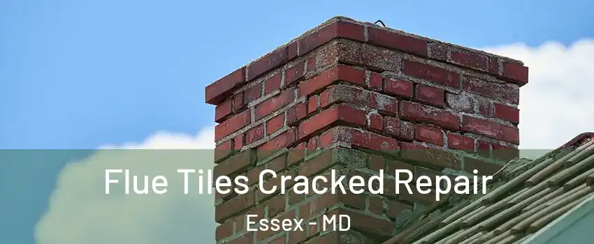  Flue Tiles Cracked Repair Essex - MD
