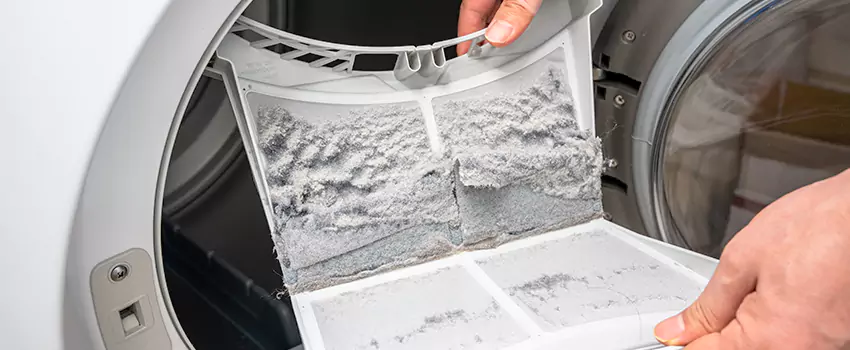 Best Dryer Lint Removal Company in Essex, Maryland