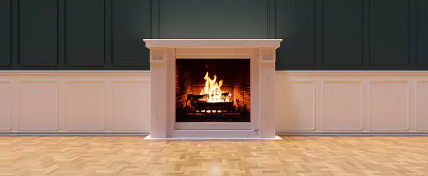 Napoleon Electric Fireplaces Inspection Service in Essex, Maryland