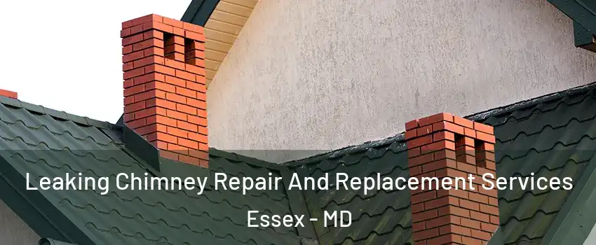 Leaking Chimney Repair And Replacement Services Essex - MD