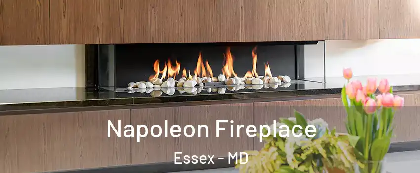  Napoleon Fireplace Essex - MD